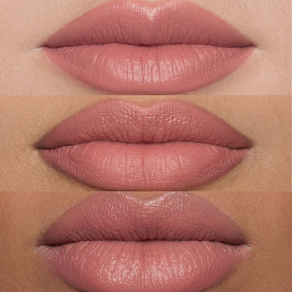 Labial Soft Coral
