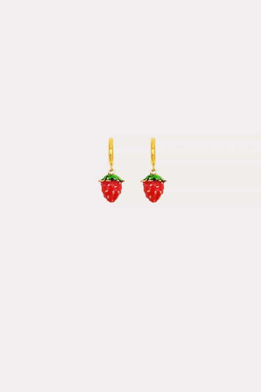 Arete Fresita