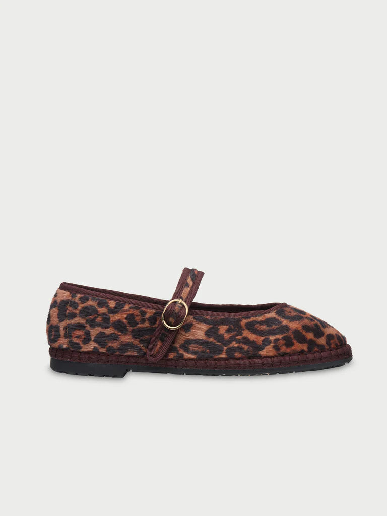 Pierre Feline Brown