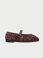 Pierre Feline Brown