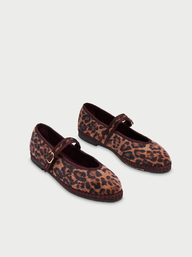 Pierre Feline Brown