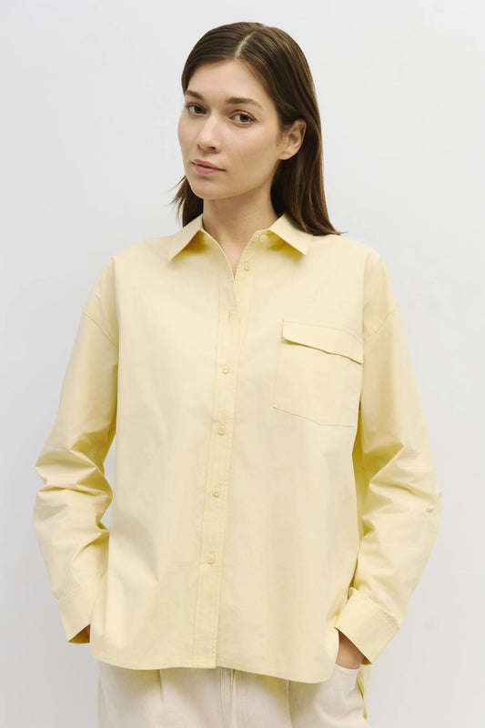 Button Down Shirt