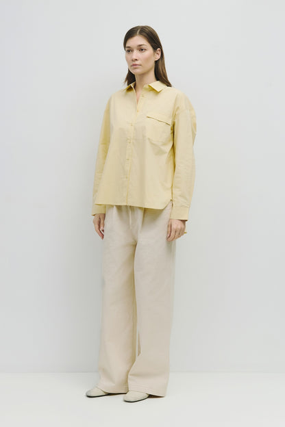 Button Down Shirt