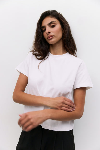 The Basic Tshirt